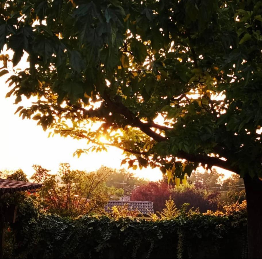 Bed and Breakfast Anticacascina Quarto  Zewnętrze zdjęcie